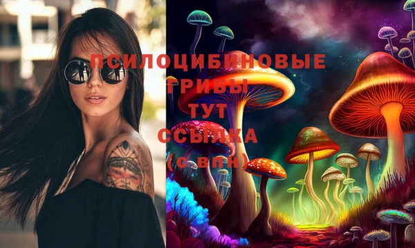 скорость Кинешма