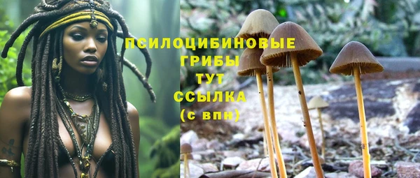 ешки Карталы