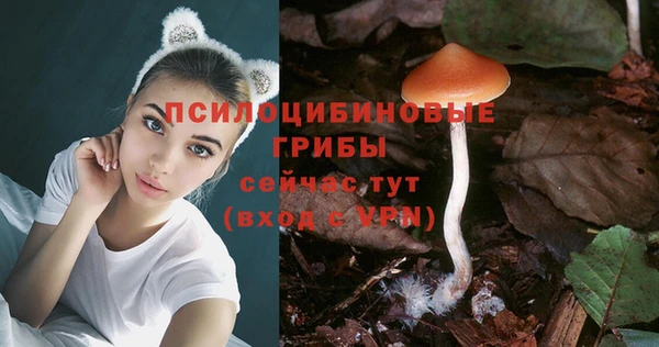 скорость Кинешма