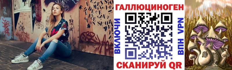 Галлюциногенные грибы Psilocybe  Краснознаменск 