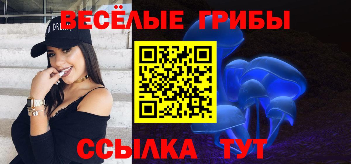 Псилоцибиновые грибы Psilocybine cubensis  купить наркотик  Краснознаменск  Вход с VPN 